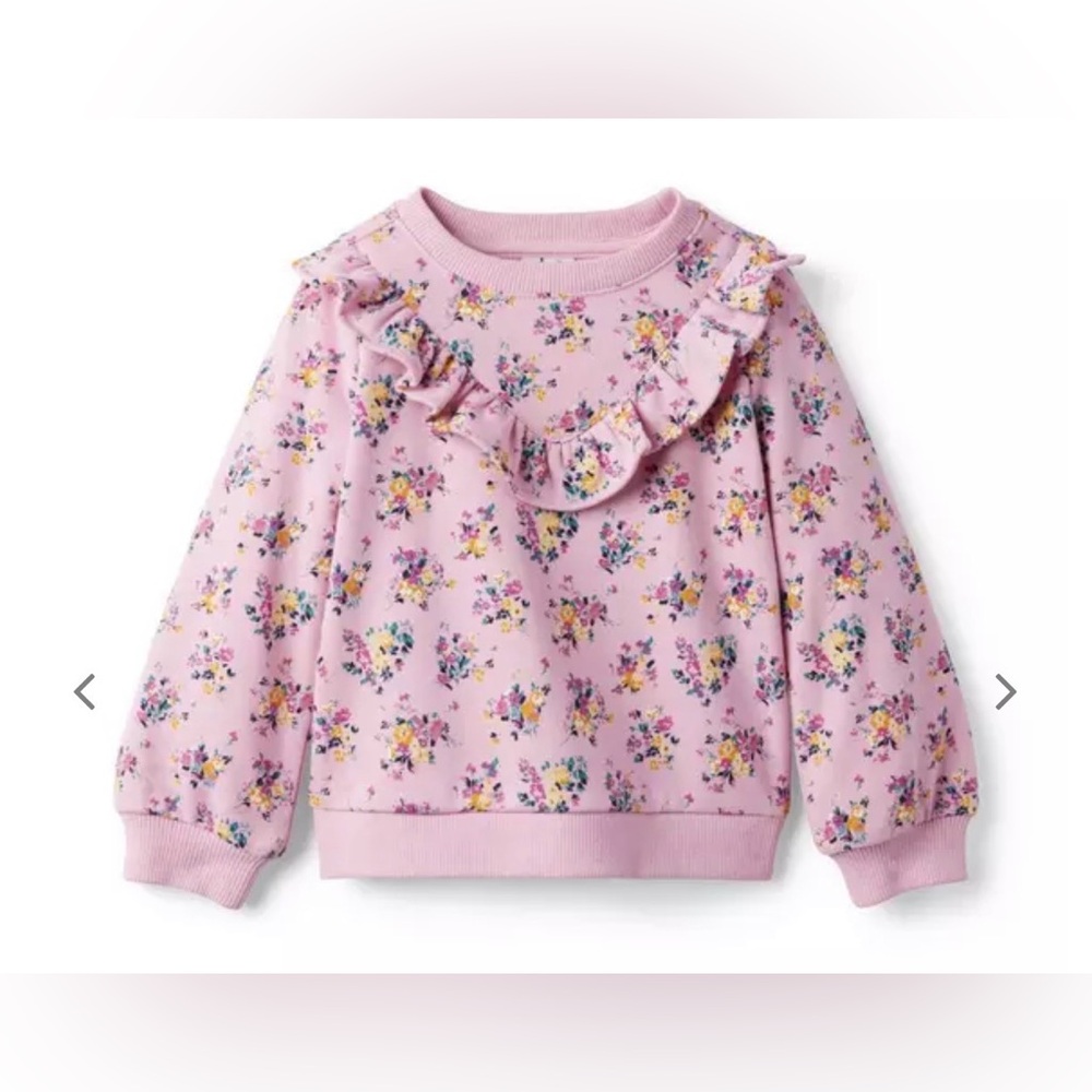 JANIE and JACK Floral Ruffle Sweatshirt in Cameo Pink Floral - 8Y